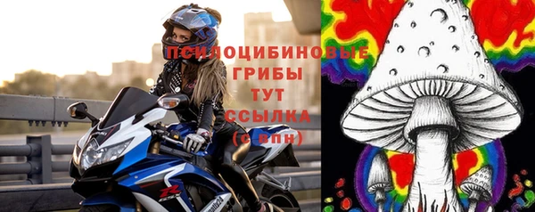 прущие крисы Касимов
