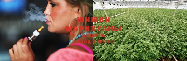 прущие крисы Касимов